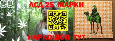 ПСИЛОЦИБИНОВЫЕ ГРИБЫ Новозыбков