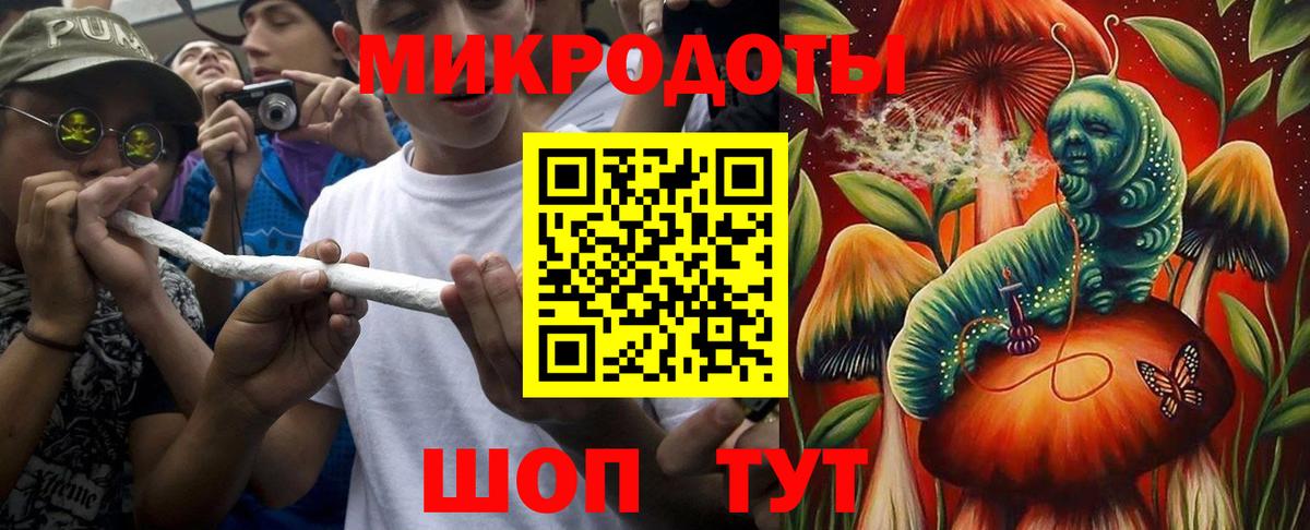 Псилоцибиновые грибы Cubensis Стрежевой